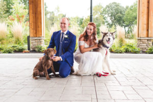 dogs come to wedding ceremony for portraits in ohio